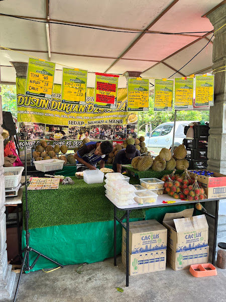 Dusun Durian D24 Azlan Gopeng Perak