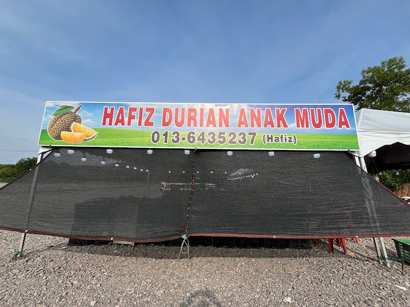 hafiz durian anak muda