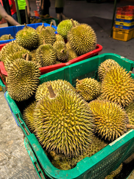 LSJ Durian 沙巴榴山界