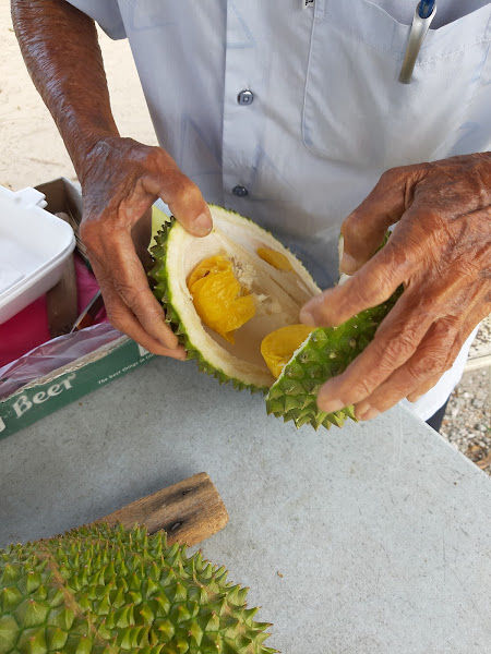 Durian Musang King Ipoh