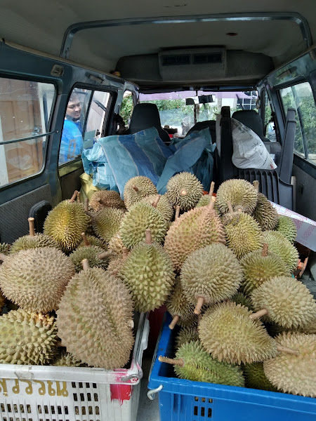Durian Kings