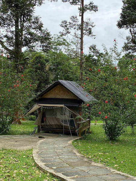 Taiping Durian Valley Camp Site