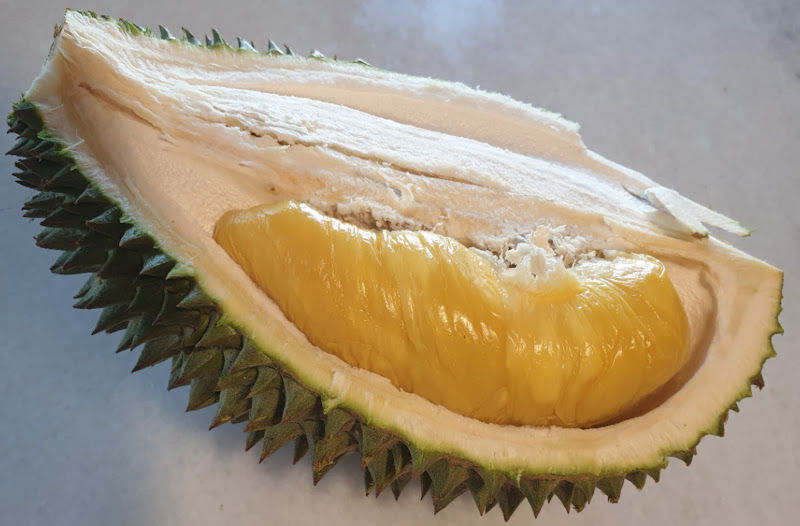 Jimmy's Durian Orchard