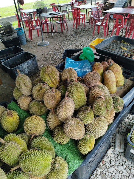 Pak Lang Durian Paduuu | Junjong Mari