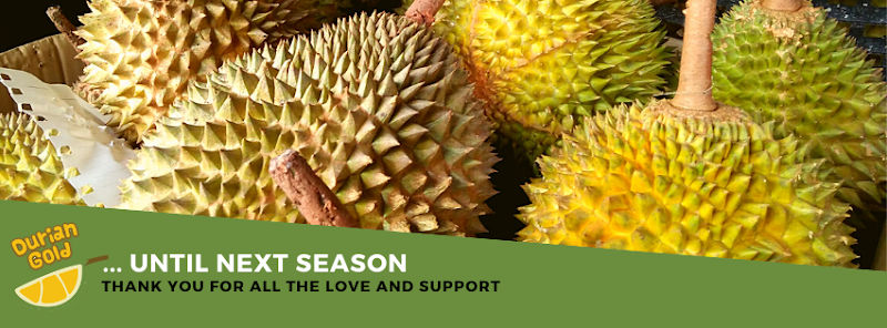Durian Gold