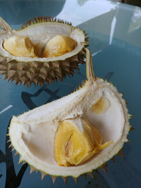 Hock Lok Siew ( Durian Estate)