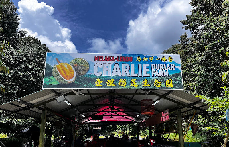 CHARLIE DURIAN FARM (LENDU-MELAKA)