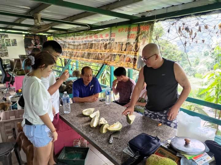 Sabah Kiulu Lee Durian Farm