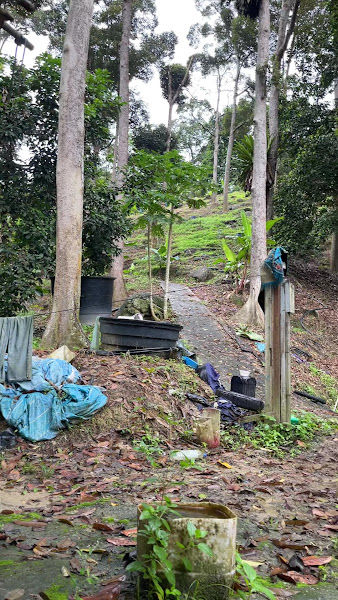 Zul’s@Plit’s Durian Farm