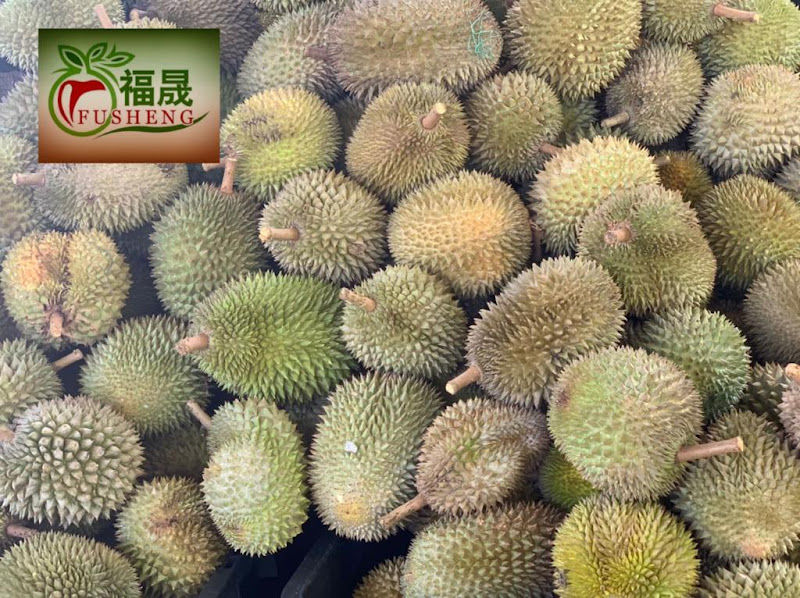 福晟@Fusheng Fruits Wholesale