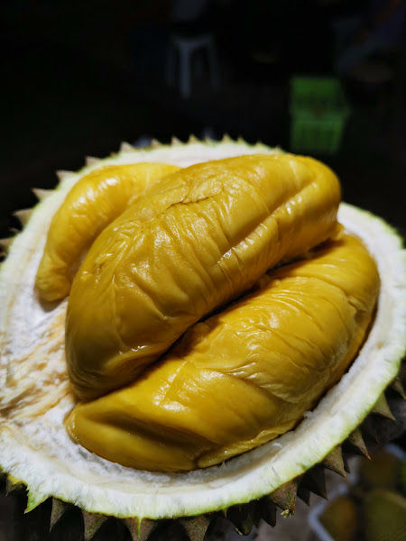 Bao jiak durian-包吃榴莲