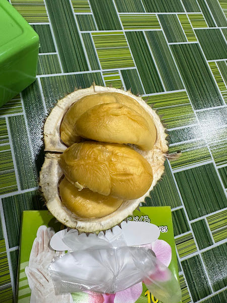 169 Durian Balik Pulau