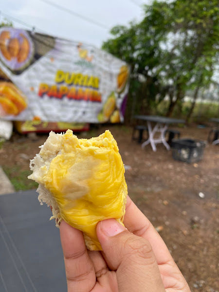 DURIAN PAPA MUDA HQ