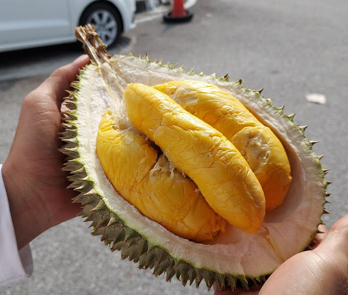 Chang Cheng Durian 长成榴莲