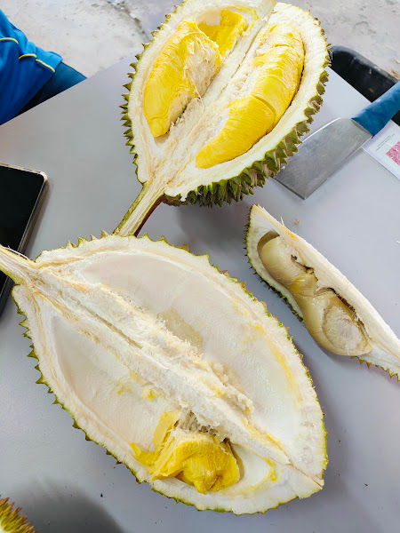 Seng Cai Durian