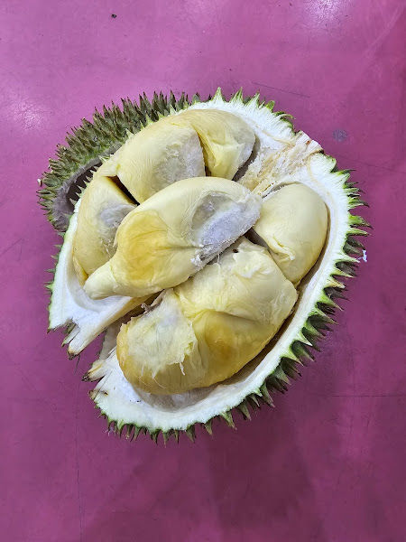 Chin Yong Durian Culture