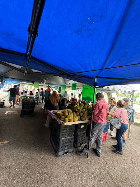 Matyie Durian Kuantan