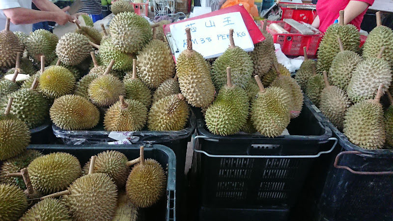 Ledang Durian Plantation