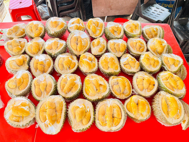 Rock Durian