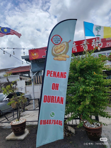 OH DURIAN高山老树榴莲