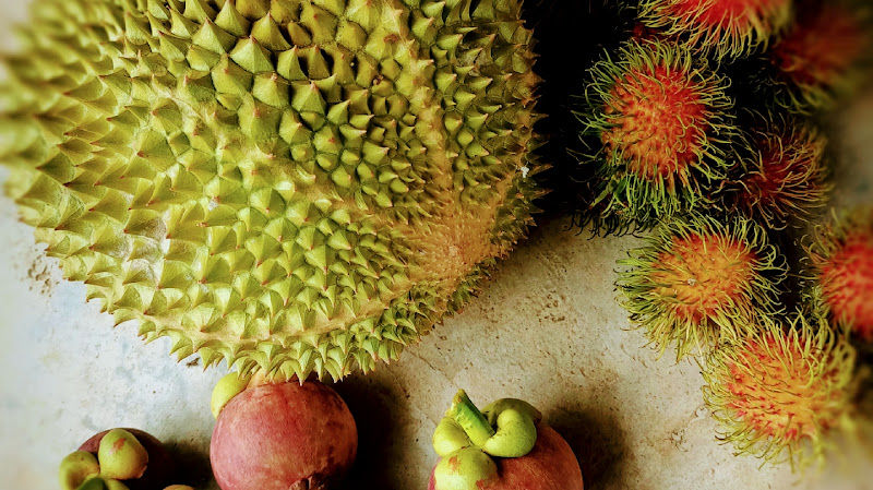 Benih Durian Dan Buah Buahan