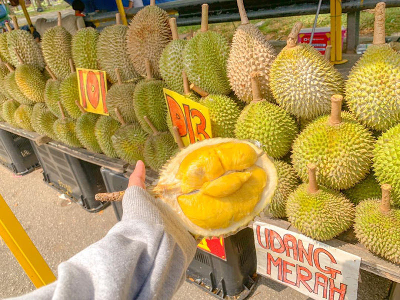 Durian segamat viral adam&ani