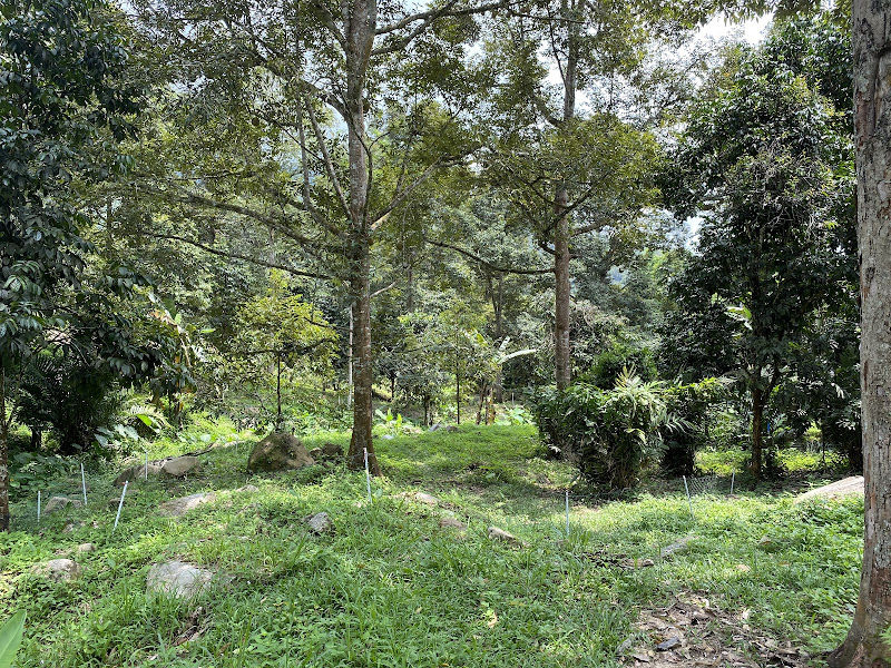 Majubina Agrotrade Sdn Bhd (Durian Warehouse)