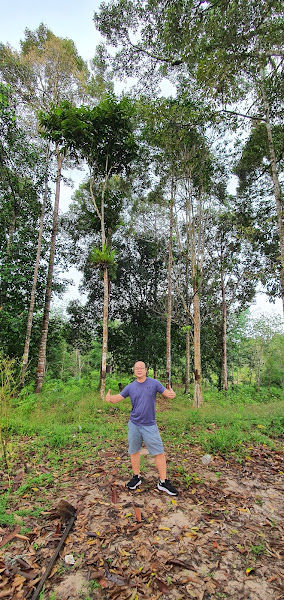 LKK's Durian Farm