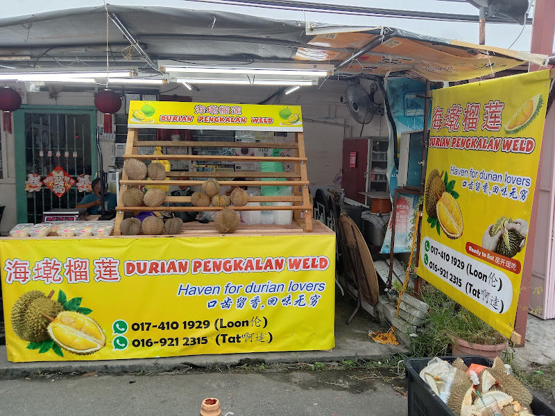 海乾榴莲 durian pengkalan weld