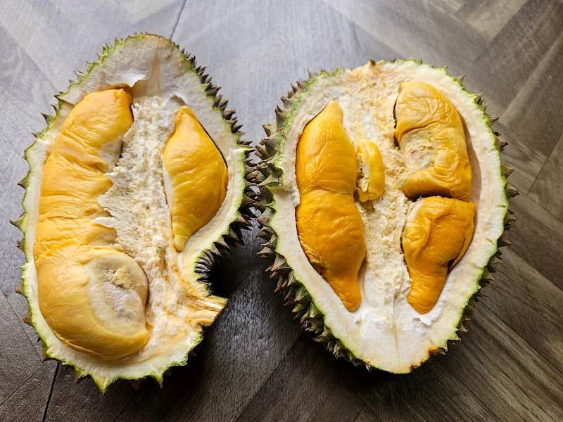 松鼠標榴莲园 Durian Cap Tupai Anjung Indah