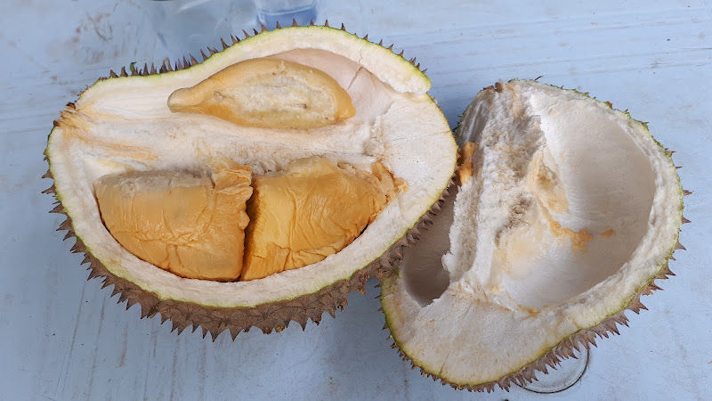 Penang Balik Pulau Wan Li Heong Organic Durian 3168 （槟城浮罗万里香有机榴莲3168