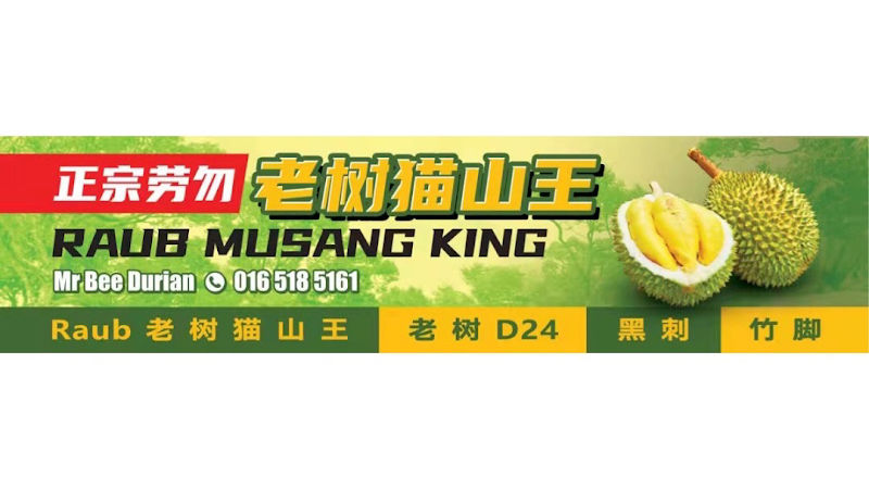 MrBee Raub Musang King