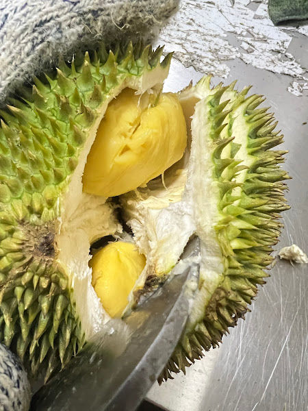 Century good durian house (kampar)
