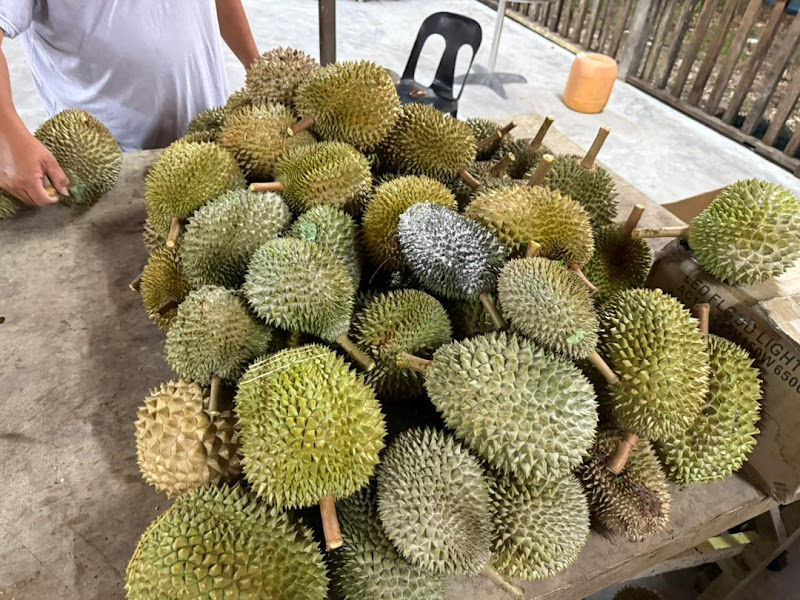 The Original Red Prawn Durian Shop (Seasonal)