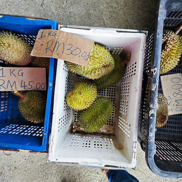 Durian Stall