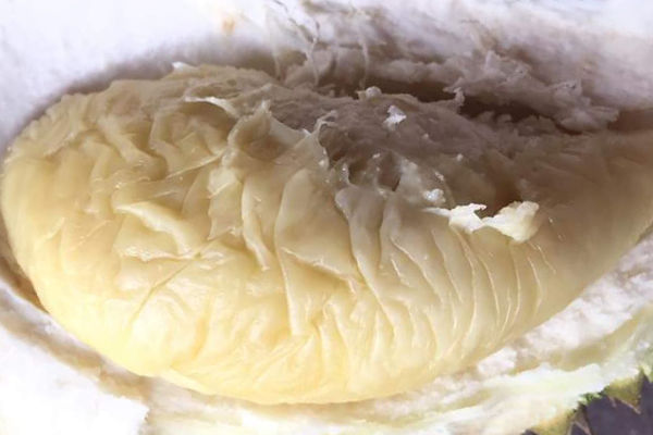 D17 (D212 / Kopi / Coffee / Chiat Chi / S17 / Lao Tai Po)