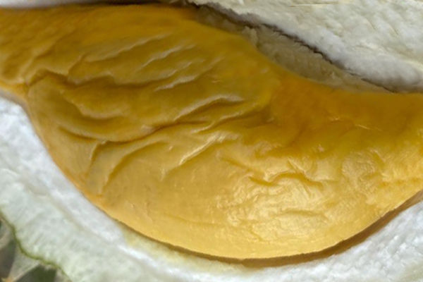 Lipan Bara (Yah Kang Ang Bak)
