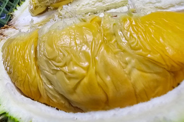 Little Red (Xiao Hong)