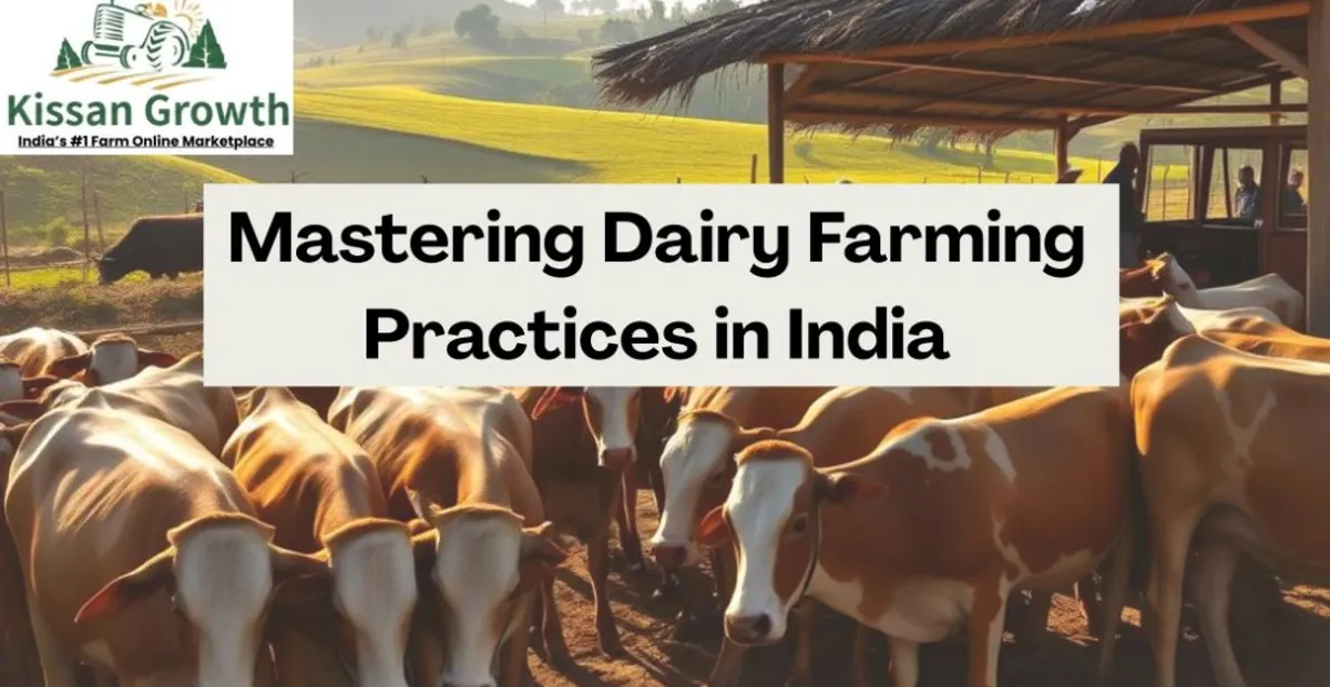dairy farming in india​