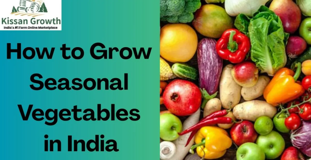 Seasonal Vegetables in India: How to Grow Fresh Veggies Year-Round