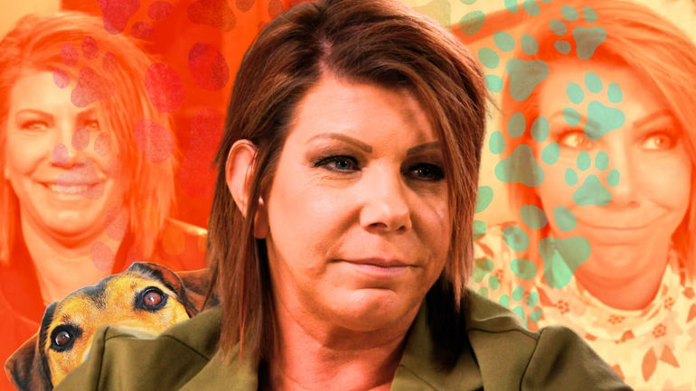 Sister Wives' Meri Brown Adopts New Pet Dog Zona