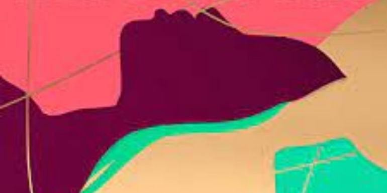 The Vanishing Half alternative cover art