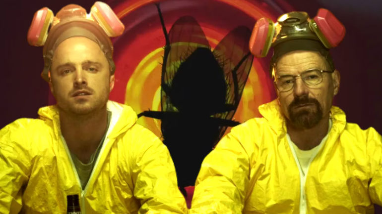 The Deeper Meaning of the Fly Episode in Breaking Bad