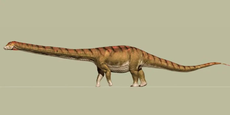 Patagotitan Mayorum dinosaur concept art