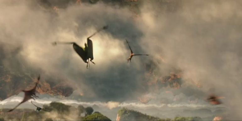 A New Companion for the King