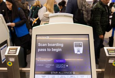 The Intriguing Case of the Mysterious Stowaway