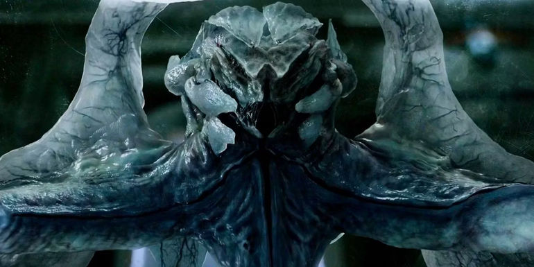 Calvin's final form from Life