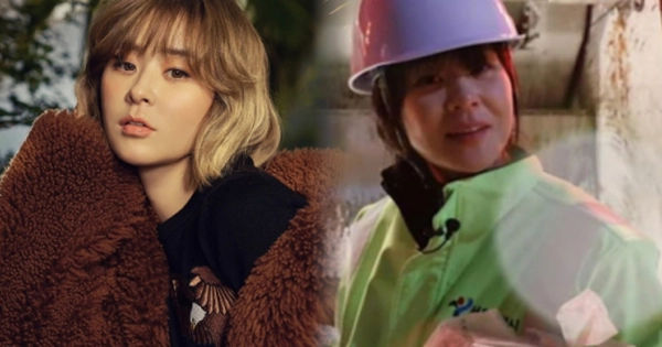 Choi Kang Hee: Hành trình từ Minh Tinh Đỉnh Cao đến Cuộc Sống Bất Ngờ