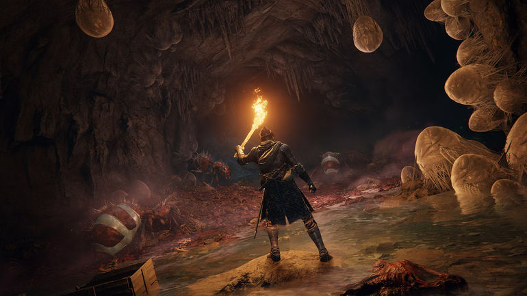 Elden Ring: Cơn Bão Tâm Hồn của Anh Em Game Thủ