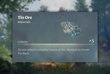 Exploring the Rich Veins of Tin in Enshrouded